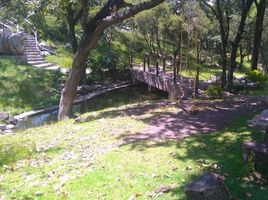  Grundstück zu verkaufen in Puebla, Puebla, Puebla, Puebla