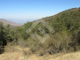  Land for sale in Melipilla, Santiago, Curacavi, Melipilla