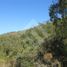  Land for sale in Melipilla, Santiago, Curacavi, Melipilla