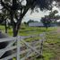  Terreno (Parcela) en venta en Libertad, Chaco, Libertad