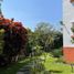 5 Habitación Casa en venta en Cuernavaca, Morelos, Cuernavaca