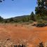  Land for sale in Huasca De Ocampo, Hidalgo, Huasca De Ocampo
