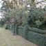 Studio House for sale in Magdalena, Buenos Aires, Magdalena