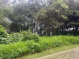  Grundstück zu verkaufen in Toluca, Mexico, Toluca
