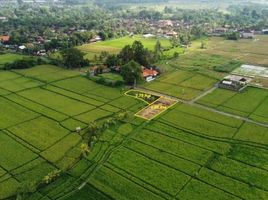 Grundstück zu verkaufen in Tabanan, Bali, Tabanan, Tabanan