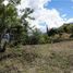  Land for sale in Girardota, Antioquia, Girardota