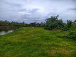  Land for rent in Jembrana, Bali, Negara, Jembrana