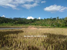  Tanah for sale in West Nusa Tenggara, Praya, Lombok Tengah, West Nusa Tenggara