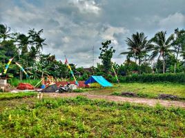  Tanah for sale in Malang Regency, East Jawa, Kepanjen, Malang Regency