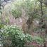  Land for sale in Cumbaya, Pichincha, Cumbaya