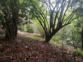  Land for sale in Cumbaya, Pichincha, Cumbaya