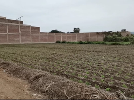  Grundstück zu verkaufen in Lurin, Lima, Lurin, Lima, Lima, Peru