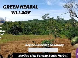  Land for sale in Maros, South Sulawesi, Bantimurung, Maros