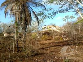  Terreno (Parcela) en venta en Cancún, Quintana Roo, Cancún