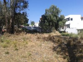  Terreno (Parcela) en venta en Zapopan, Jalisco, Zapopan, Jalisco