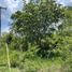  Land for sale in Tecoh, Yucatan, Tecoh