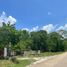  Land for sale in Tecoh, Yucatan, Tecoh
