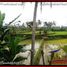  Terrain for sale in Tegallalang Rice Terrace, Tegallalang, Tegallalang