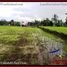  Terrain for sale in Tegallalang Rice Terrace, Tegallalang, Tegallalang