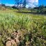  Terrain for sale in Yaruqui, Quito, Yaruqui