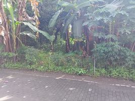  Land for sale in Yogyakarta, Depok, Sleman, Yogyakarta