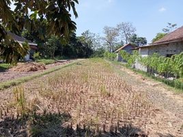  Land for sale in Yogyakarta, Gamping, Sleman, Yogyakarta