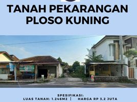  Land for sale in Yogyakarta, Seyegan, Sleman, Yogyakarta