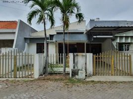 3 Schlafzimmer Haus zu verkaufen in Sukolilo, East Jawa, Sukolilo