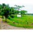  Land for sale in Cordoba, Monteria, Cordoba