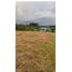  Land for sale in Dosquebradas, Risaralda, Dosquebradas