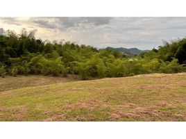  Land for sale in Dosquebradas, Risaralda, Dosquebradas