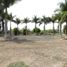  Land for sale in Amacuzac, Morelos, Amacuzac