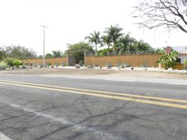  Land for sale in Amacuzac, Morelos, Amacuzac