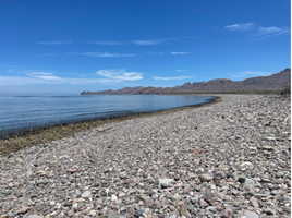  Terreno (Parcela) en venta en Comondu, Baja California Sur, Comondu, Baja California Sur
