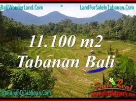  Land for sale in Penebel, Tabanan, Penebel