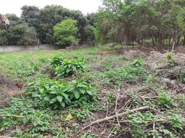  Terreno (Parcela) en venta en Manglaralto, Santa Elena, Manglaralto