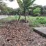  Terreno (Parcela) en venta en Manglaralto, Santa Elena, Manglaralto
