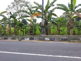  Tanah for sale in Yogyakarta, Seyegan, Sleman, Yogyakarta