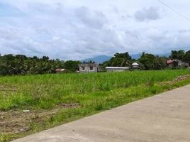  Land for sale in Victorias City, Negros Occidental, Victorias City