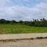  Land for sale in Victorias City, Negros Occidental, Victorias City