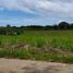  Land for sale in Victorias City, Negros Occidental, Victorias City