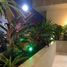 Appartement 1 chambre à louer à Cozumel, Quintana Roo, Cozumel