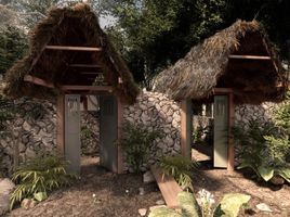 2 Schlafzimmer Haus zu verkaufen in Cozumel, Quintana Roo, Cozumel
