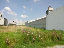  Grundstück zu verkaufen in Toluca, Mexico, Toluca