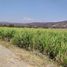  Land for sale in Miacatlan, Morelos, Miacatlan