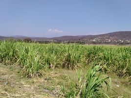  Land for sale in Miacatlan, Morelos, Miacatlan