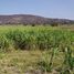  Land for sale in Miacatlan, Morelos, Miacatlan