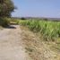  Land for sale in Miacatlan, Morelos, Miacatlan