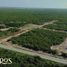  Land for sale in Telchac Puerto, Yucatan, Telchac Puerto