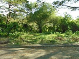  Grundstück zu verkaufen in Cebu City, Central Visayas, Cebu City, Cebu, Central Visayas, Philippinen
